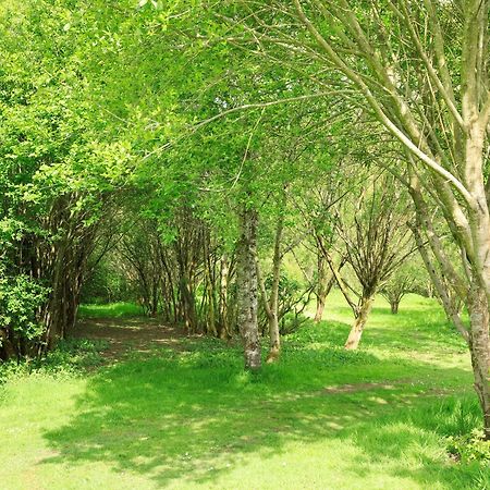 Bluebell Lodge Holsworthy Exterior photo