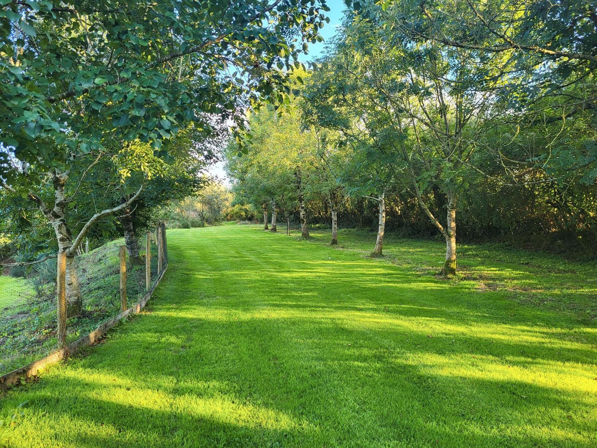 Bluebell Lodge Holsworthy Exterior photo